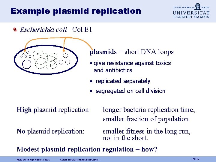 Example plasmid replication Escherichia coli Col E 1 plasmids = short DNA loops •