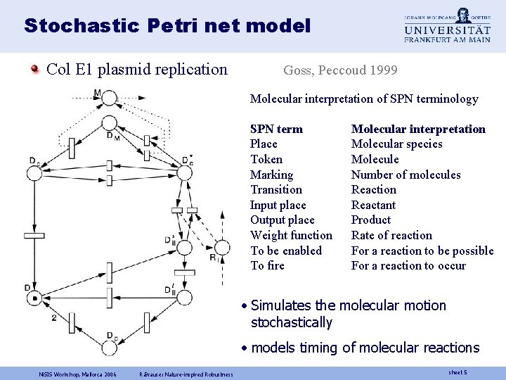 Stochastic Petri net model Col E 1 plasmid replication Goss, Peccoud 1999 Molecular interpretation