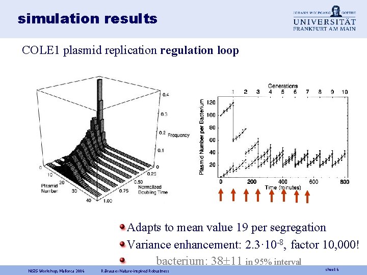 simulation results COLE 1 plasmid replication regulation loop Adapts to mean value 19 per