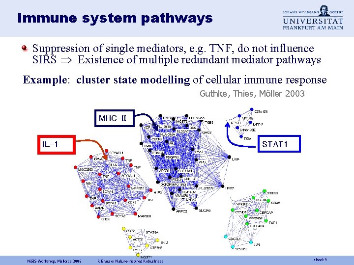 Immune system pathways Suppression of single mediators, e. g. TNF, do not influence SIRS
