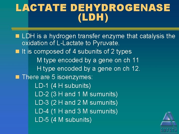 LACTATE DEHYDROGENASE (LDH) n LDH is a hydrogen transfer enzyme that catalysis the oxidation