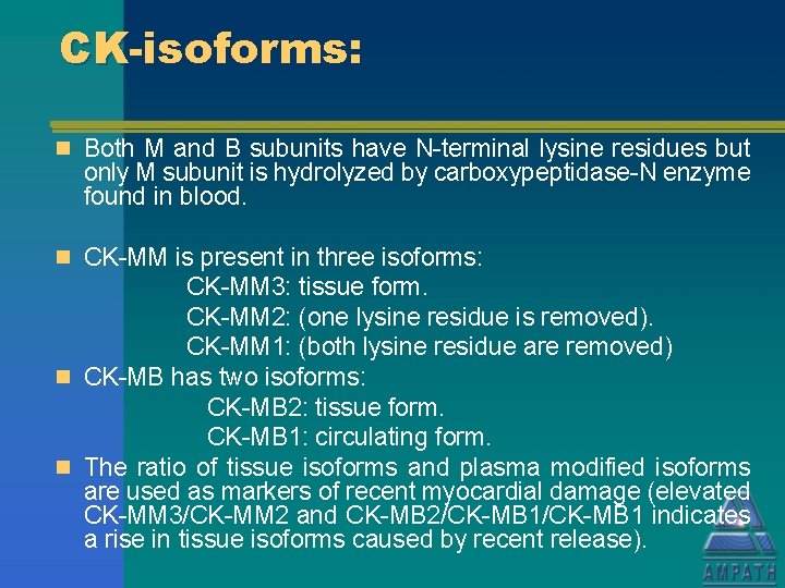 CK-isoforms: n Both M and B subunits have N-terminal lysine residues but only M