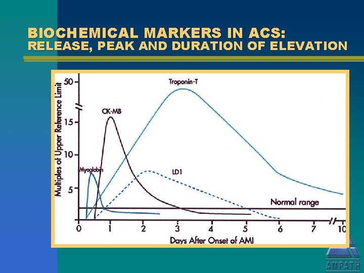 BIOCHEMICAL MARKERS IN ACS: RELEASE, PEAK AND DURATION OF ELEVATION 