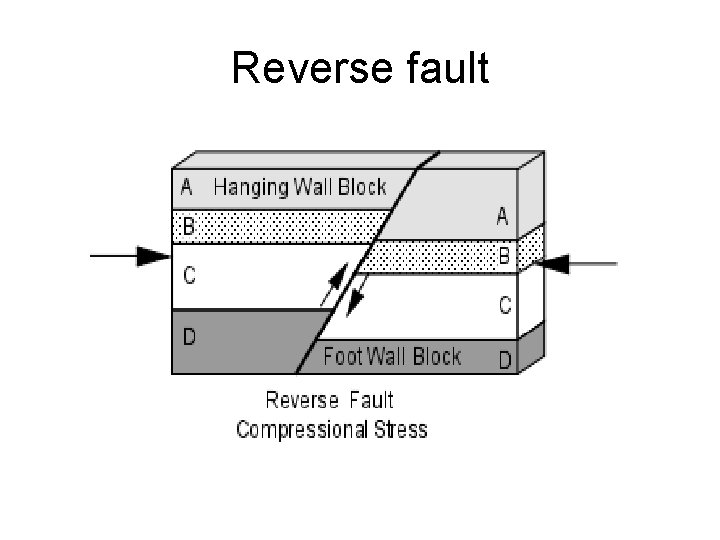 Reverse fault 