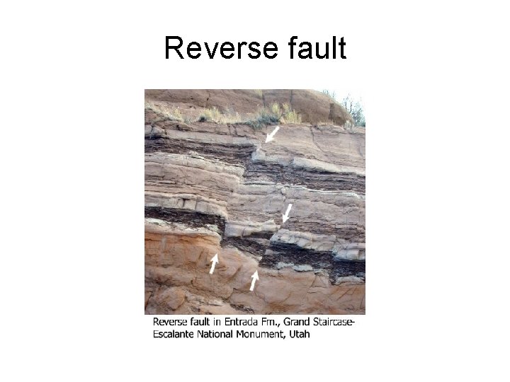 Reverse fault 