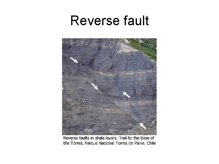 Reverse fault 