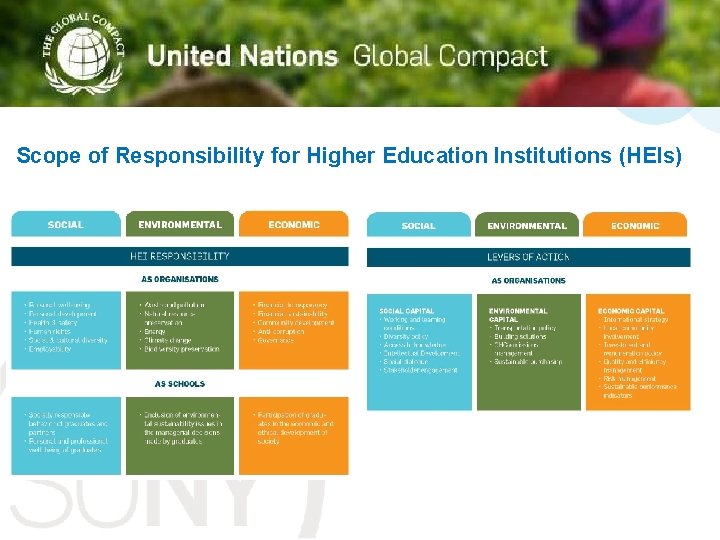 Title Scope of Responsibility for Higher Education Institutions (HEIs) 