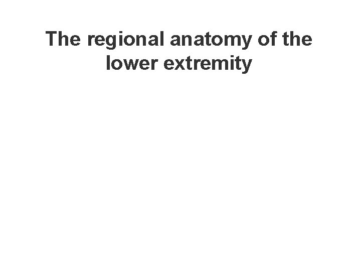 The regional anatomy of the lower extremity 