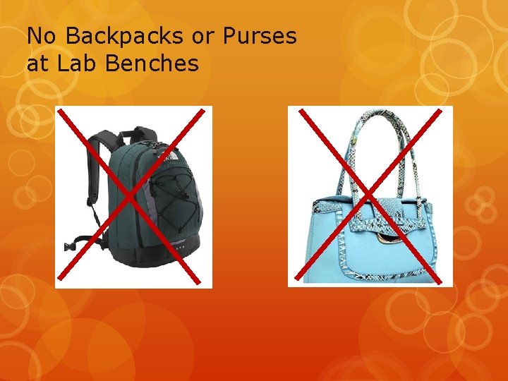 No Backpacks or Purses at Lab Benches 