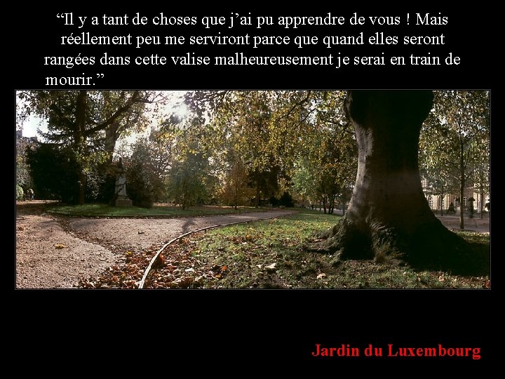 “Il y a tant de choses que j’ai pu apprendre de vous ! Mais