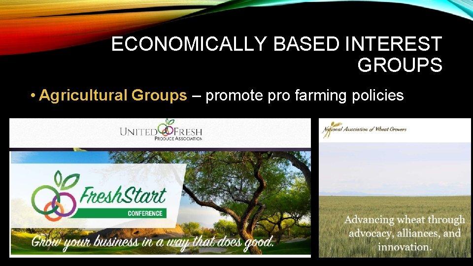 ECONOMICALLY BASED INTEREST GROUPS • Agricultural Groups – promote pro farming policies 