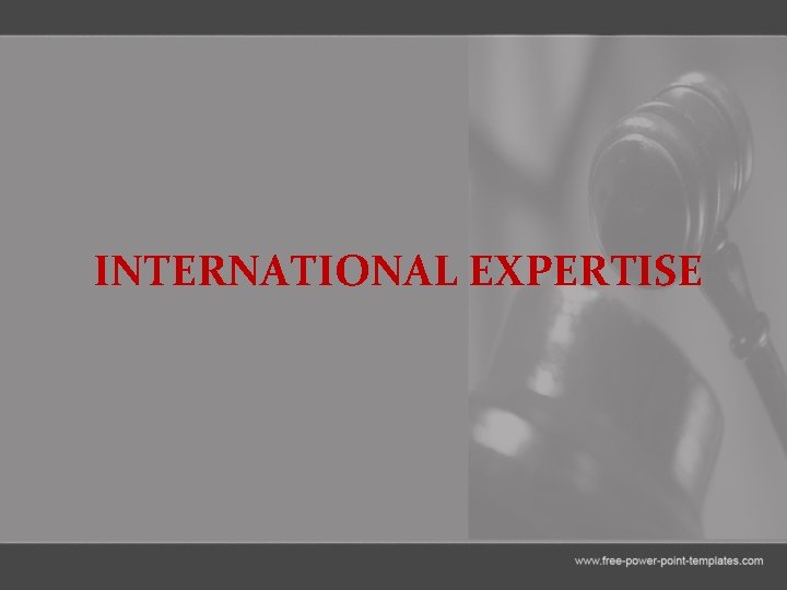 INTERNATIONAL EXPERTISE 