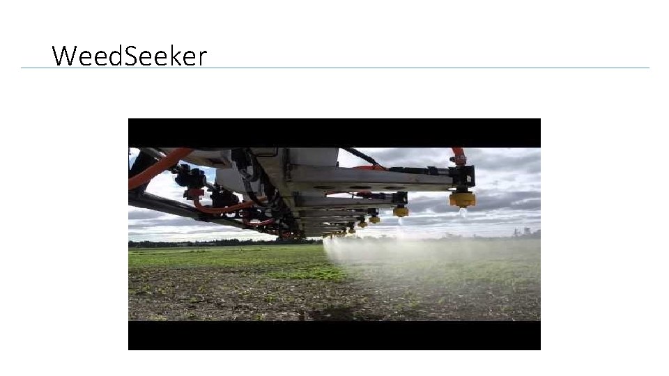Weed. Seeker 