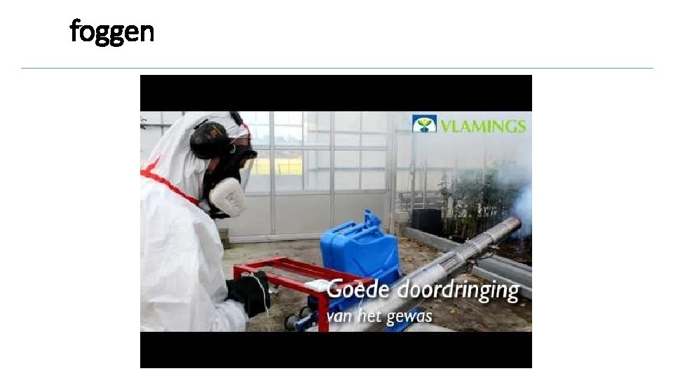 foggen 