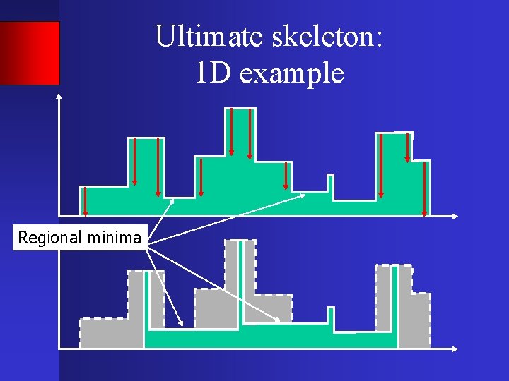 Ultimate skeleton: 1 D example Regional minima 