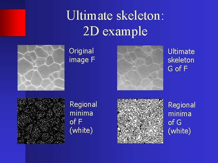 Ultimate skeleton: 2 D example Original image F Ultimate skeleton G of F Regional