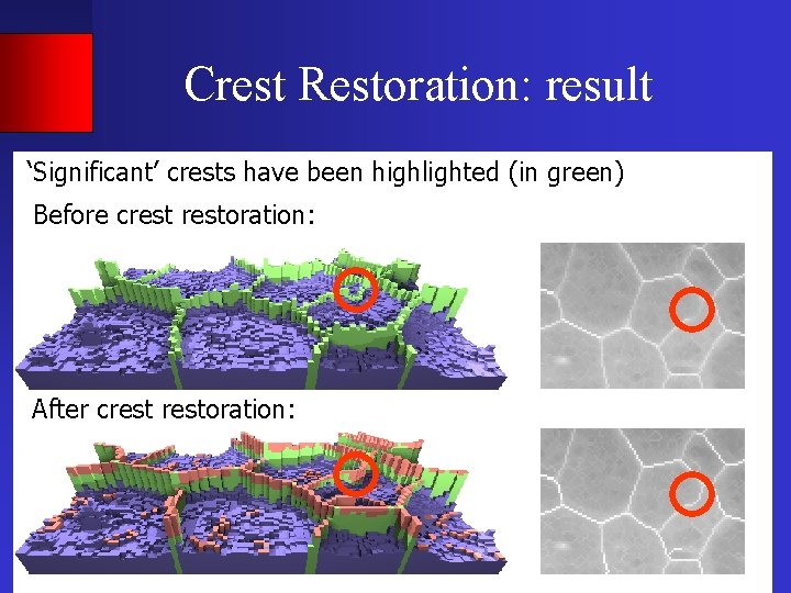 Crest Restoration: result ‘Significant’ crests have been highlighted (in green) Before crestoration: After crestoration: