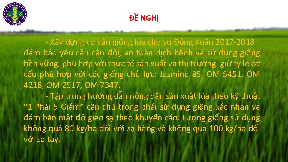 ĐỀ NGHỊ - Xây dựng cơ cấu giống lúa cho vụ Đông Xuân 2017