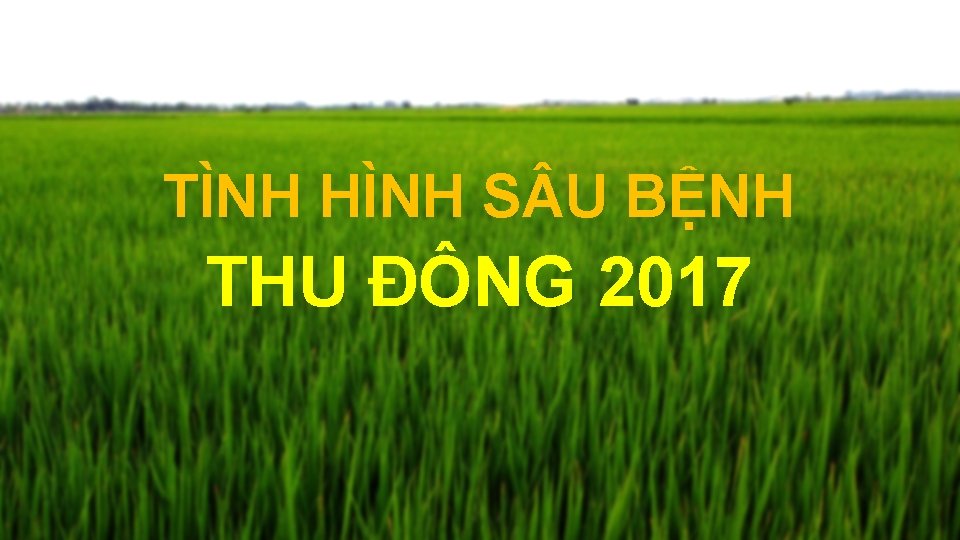 TÌNH HÌNH S U BỆNH THU ĐÔNG 2017 