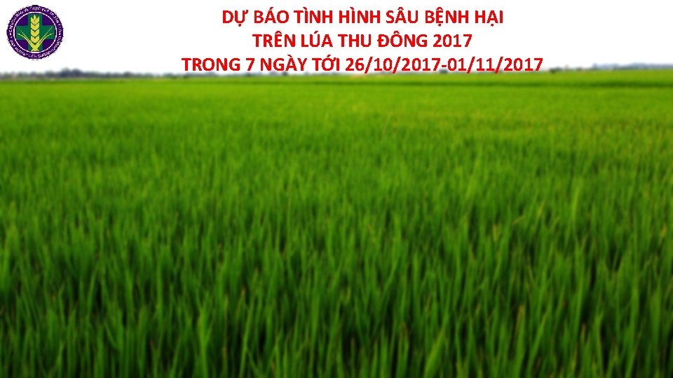 DỰ BÁO TÌNH HÌNH S U BỆNH HẠI TRÊN LÚA THU ĐÔNG 2017 TRONG