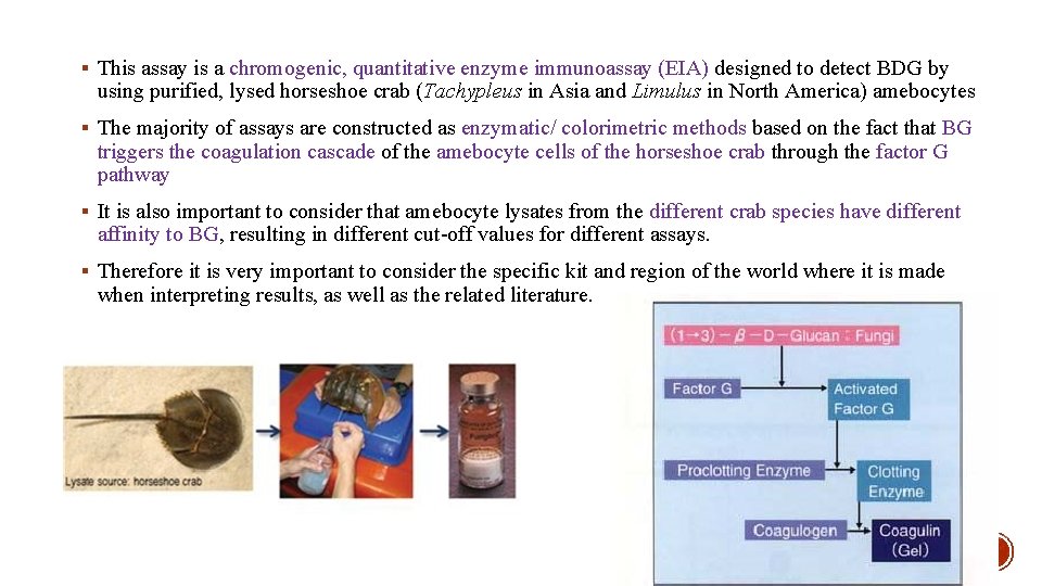 § This assay is a chromogenic, quantitative enzyme immunoassay (EIA) designed to detect BDG