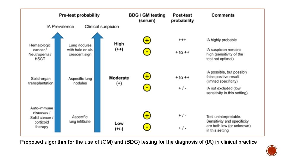 Proposed algorithm for the use of (GM) and (BDG) testing for the diagnosis of