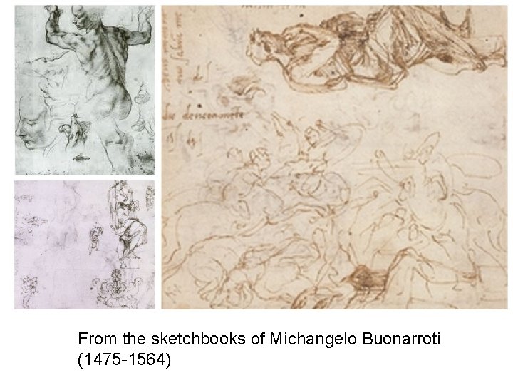 From the sketchbooks of Michangelo Buonarroti (1475 -1564) 