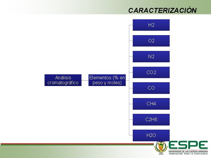 CARACTERIZACIÓN H 2 O 2 N 2 CO 2 Análisis cromatográfico Elementos (% en