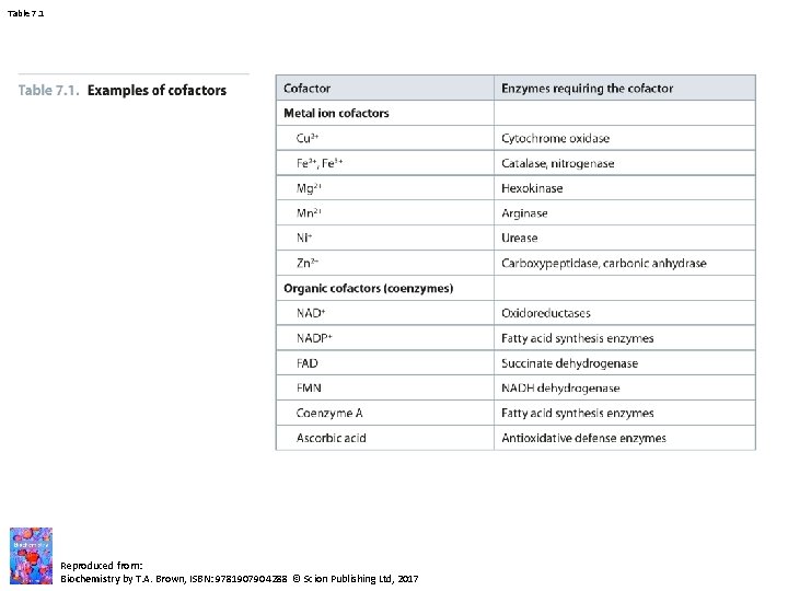 Table 7. 1 Reproduced from: Biochemistry by T. A. Brown, ISBN: 9781907904288 © Scion