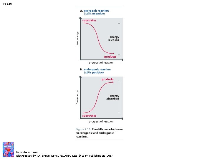 Fig 7. 10 Reproduced from: Biochemistry by T. A. Brown, ISBN: 9781907904288 © Scion