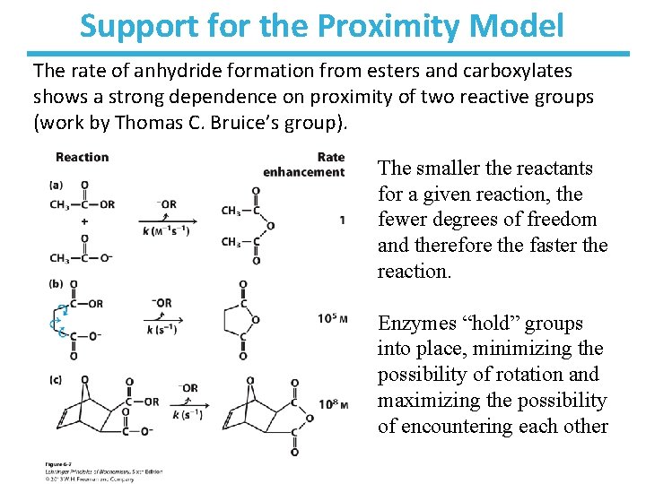 Support for the Proximity Model The rate of anhydride formation from esters and carboxylates