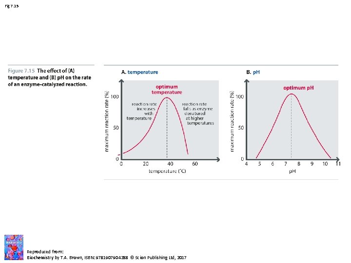 Fig 7. 15 Reproduced from: Biochemistry by T. A. Brown, ISBN: 9781907904288 © Scion