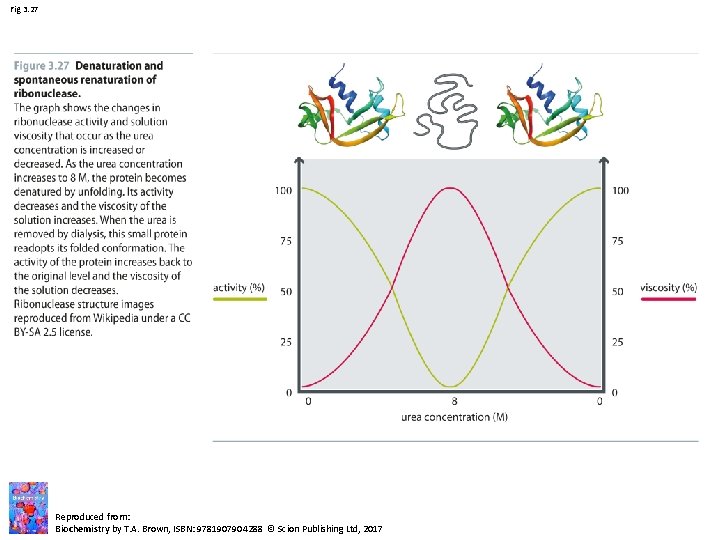 Fig 3. 27 Reproduced from: Biochemistry by T. A. Brown, ISBN: 9781907904288 © Scion