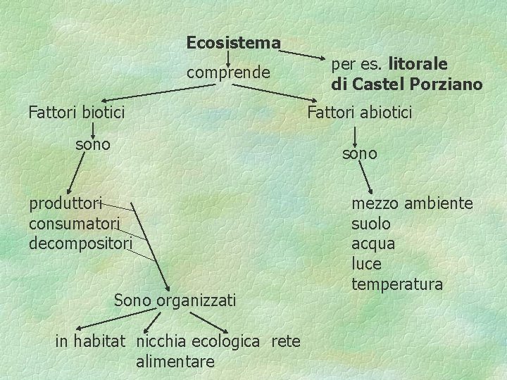 Ecosistema comprende Fattori biotici sono per es. litorale di Castel Porziano Fattori abiotici sono