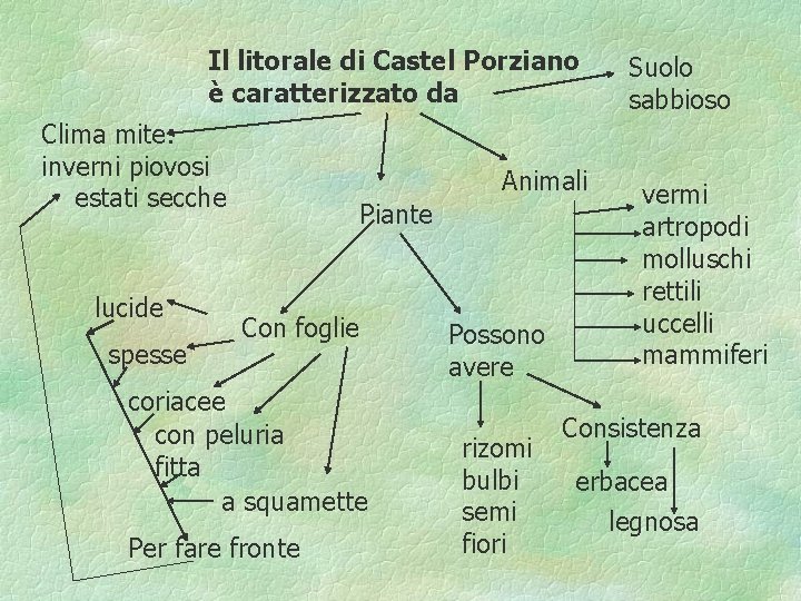 Il litorale di Castel Porziano è caratterizzato da Clima mite: inverni piovosi estati secche