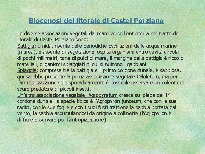 Biocenosi del litorale di Castel Porziano Le diverse associazioni vegetali dal mare verso l'entroterra