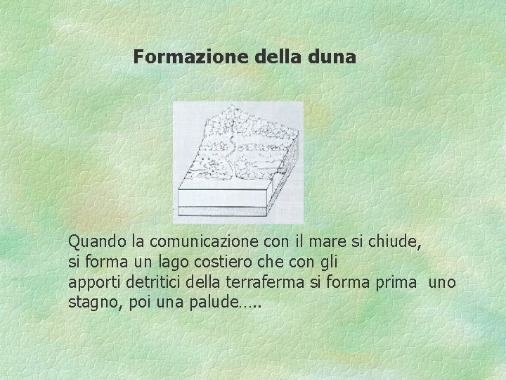 Formazione della duna Quando la comunicazione con il mare si chiude, si forma un