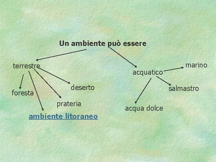 Un ambiente può essere terrestre foresta acquatico deserto prateria ambiente litoraneo marino salmastro acqua