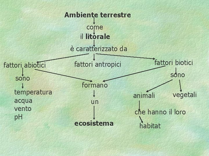 Ambiente terrestre come il litorale è caratterizzato da fattori abiotici sono temperatura acqua vento