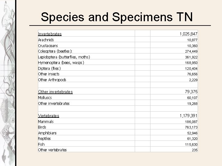 Species and Specimens TN Invertebrates 1, 025, 847 Arachnids 10, 877 Crustaceans 10, 360