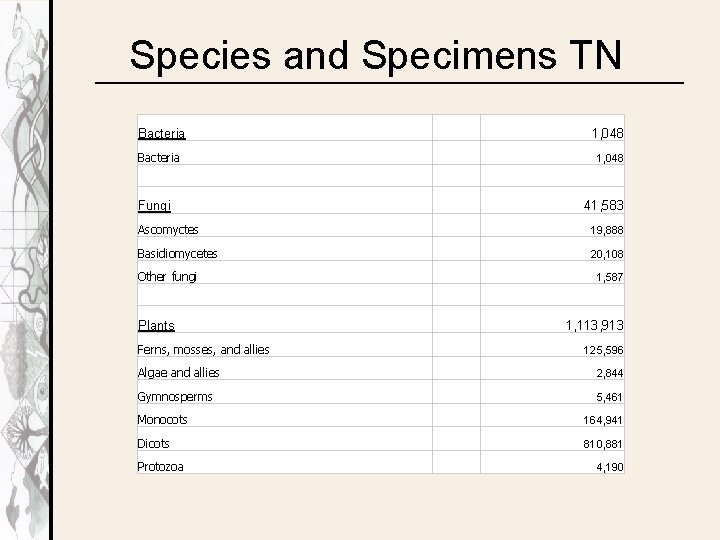 Species and Specimens TN Bacteria 1, 048 Fungi 41, 583 Ascomyctes 19, 888 Basidiomycetes
