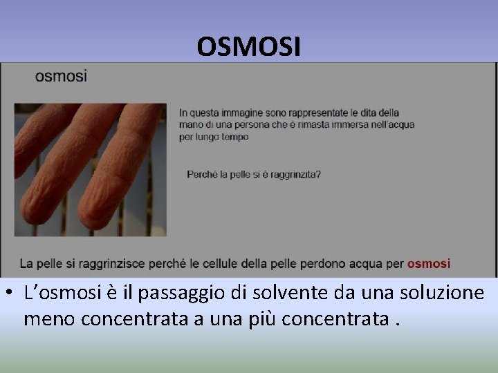 OSMOSI • L’osmosi è il passaggio di solvente da una soluzione meno concentrata a