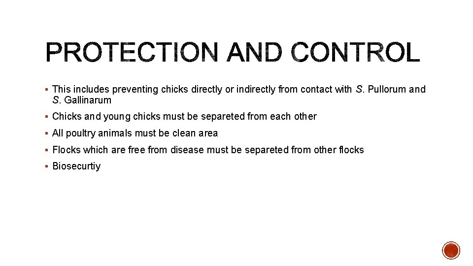 § This includes preventing chicks directly or indirectly from contact with S. Pullorum and