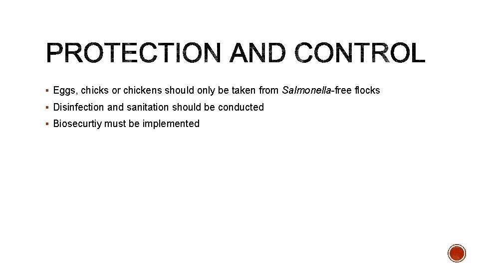 § Eggs, chicks or chickens should only be taken from Salmonella-free flocks § Disinfection
