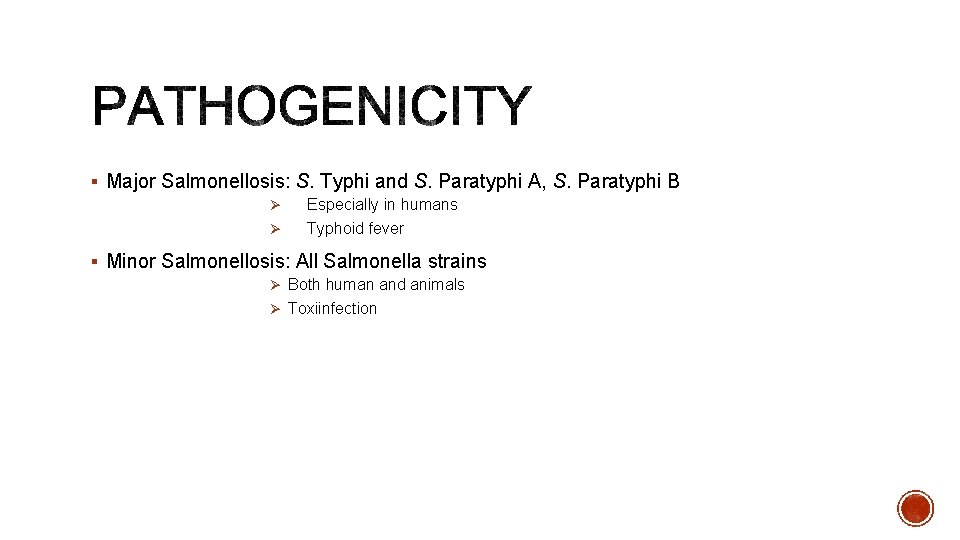 § Major Salmonellosis: S. Typhi and S. Paratyphi A, S. Paratyphi B Ø Ø