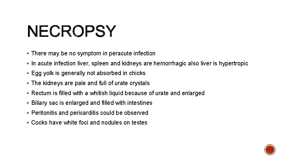 § There may be no symptom in peracute infection § In acute infection liver,