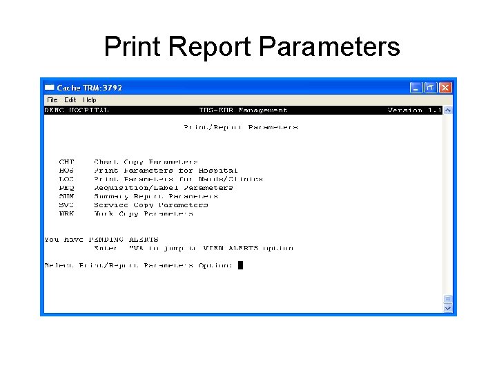 Print Report Parameters 