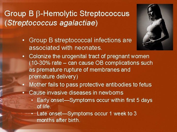 Group B b-Hemolytic Streptococcus (Streptococcus agalactiae) • Group B streptococcal infections are associated with
