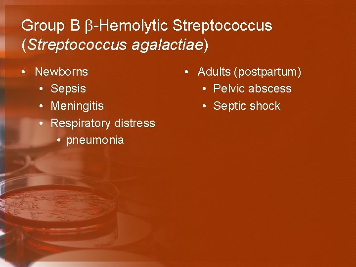 Group B b-Hemolytic Streptococcus (Streptococcus agalactiae) • Newborns • Sepsis • Meningitis • Respiratory