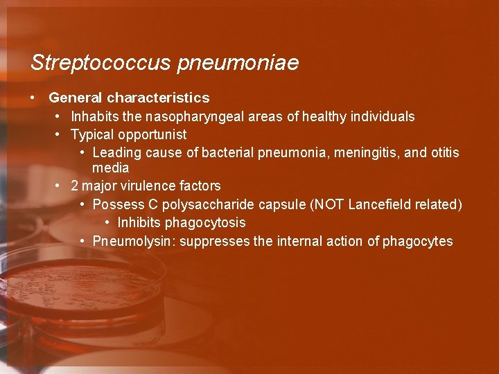 Streptococcus pneumoniae • General characteristics • Inhabits the nasopharyngeal areas of healthy individuals •